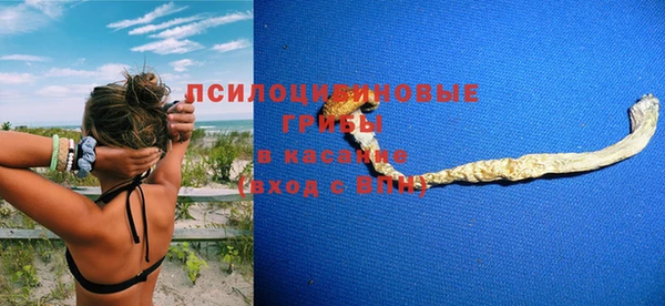 кокаин Белокуриха