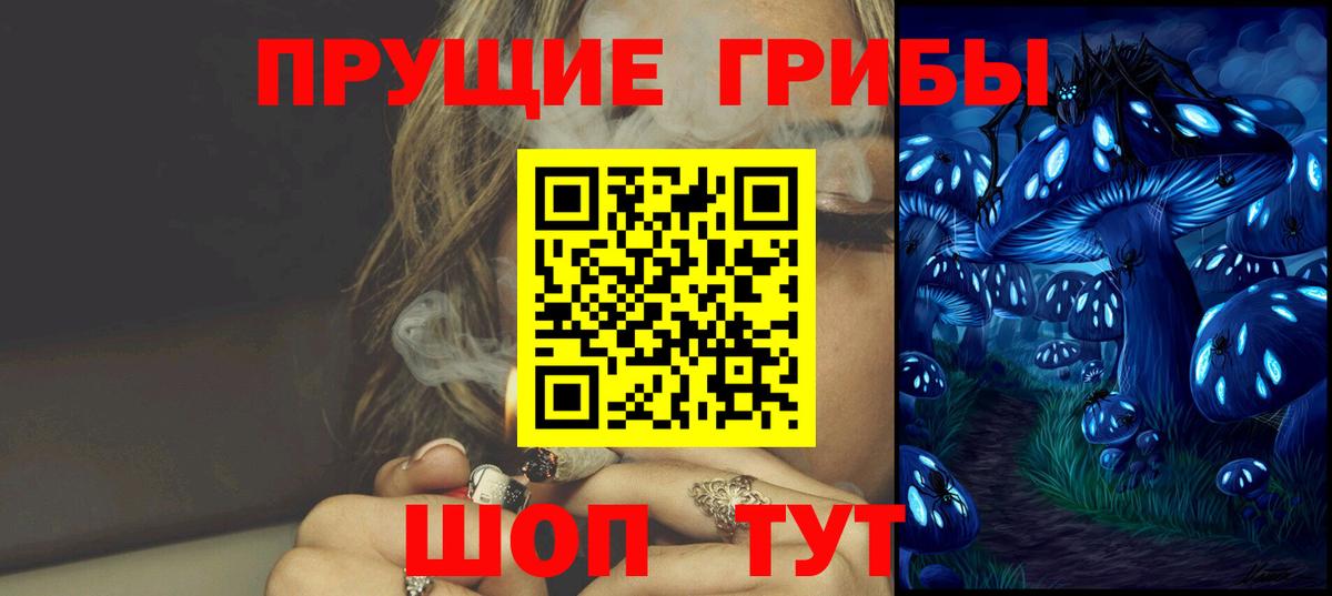 Галлюциногенные грибы мицелий Горно-Алтайск