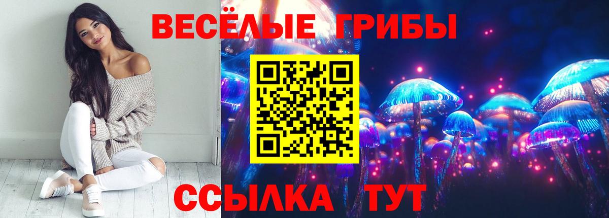Галлюциногенные грибы мухоморы  Вход с VPN  Горно-Алтайск 