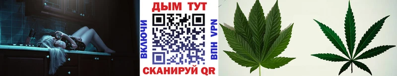 дарнет шоп  дарк нет телеграм  OMG маркетплейс  МАРИХУАНА конопля  Горно-Алтайск 